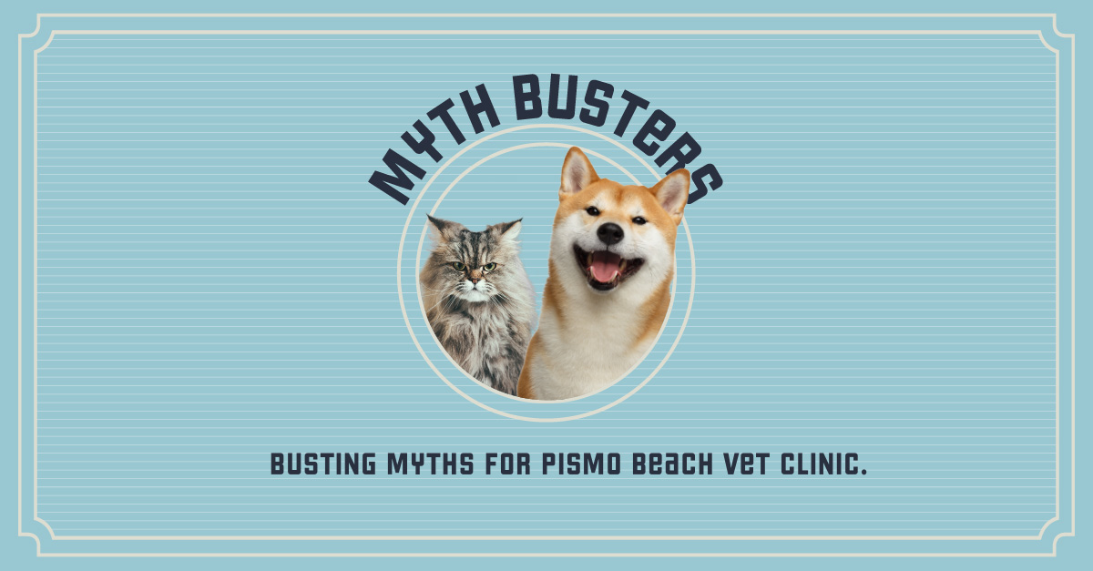 PBVC Mythbusters