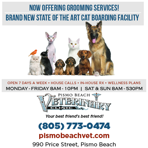 Home - Pismo Beach Veterinary Clinic