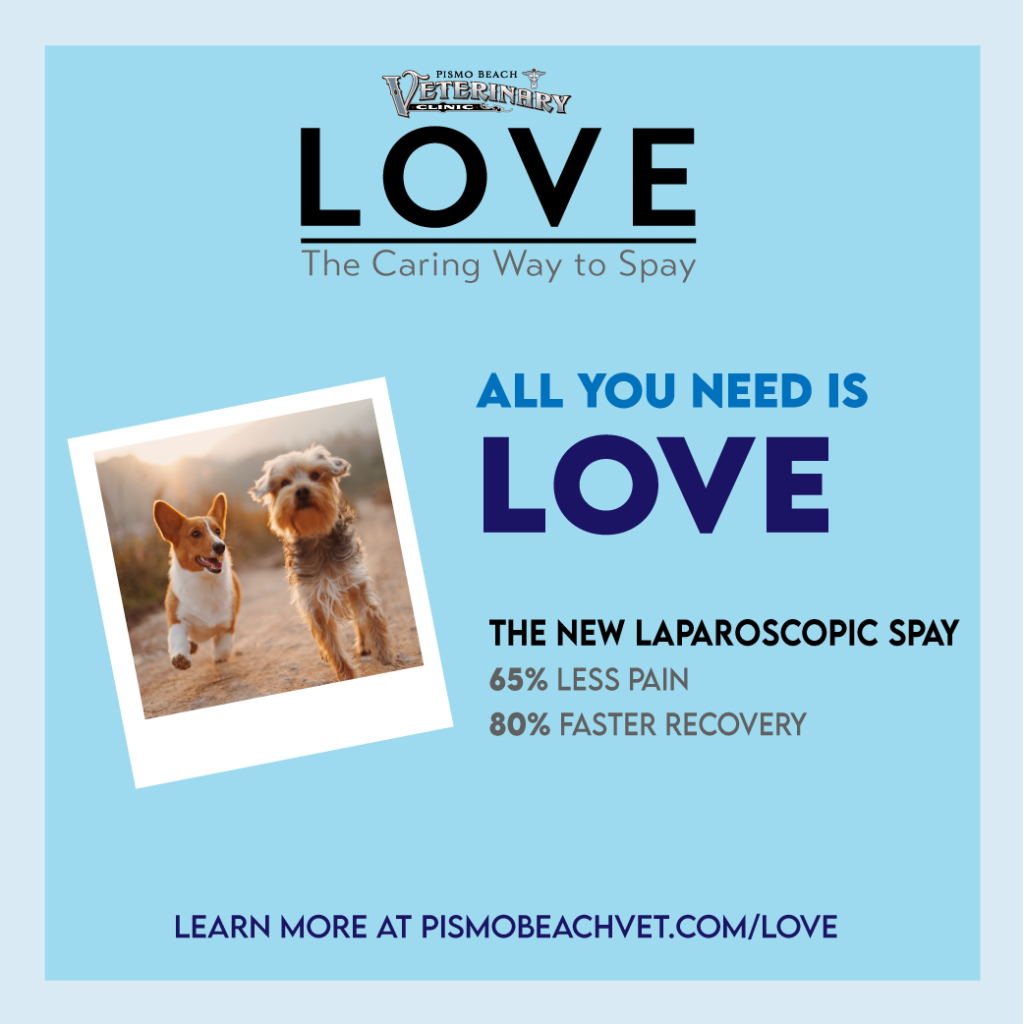 LOVE Spay Video Guide